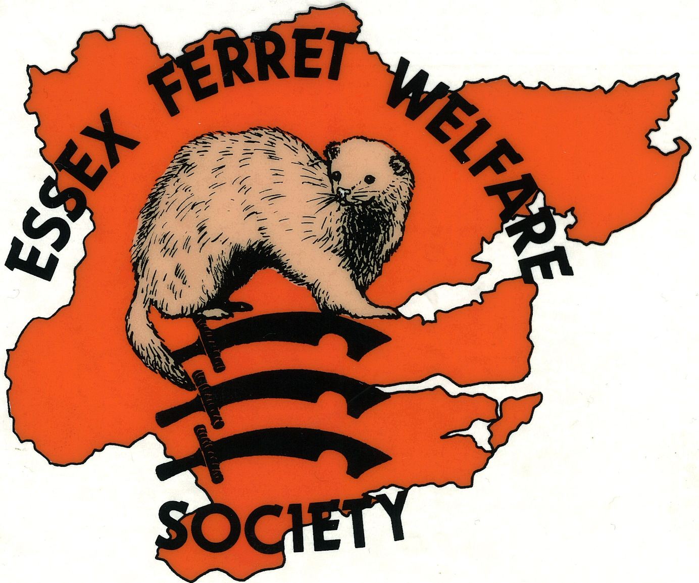 Essex Ferret Welfare Logo